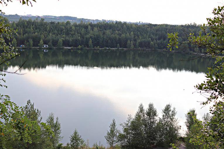 V Radnicích na Rokycansku plánují paleobotanické centrum pro veřejnost i vědce.