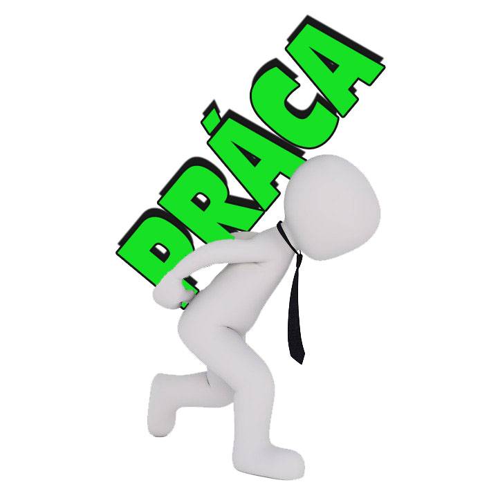 Odborný zamestnanec oddelenia sociálneho a školstva