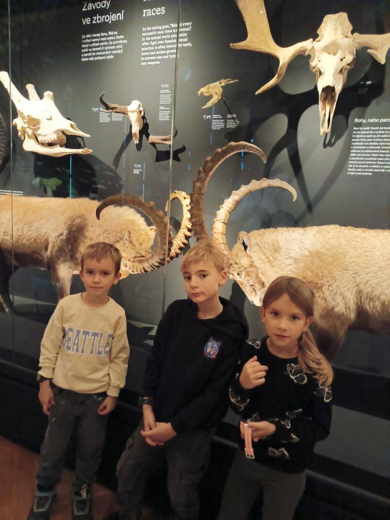 V pátek 14. listopadu se žáci 2. tříd vydali na exkurzi do Národního muzea v Praze. Po příchodu k Národnímu muzeu děti zaujal majestátný vzhled budovy a krásné schodiště. Byly plné očekávání, co všechno uvidí.