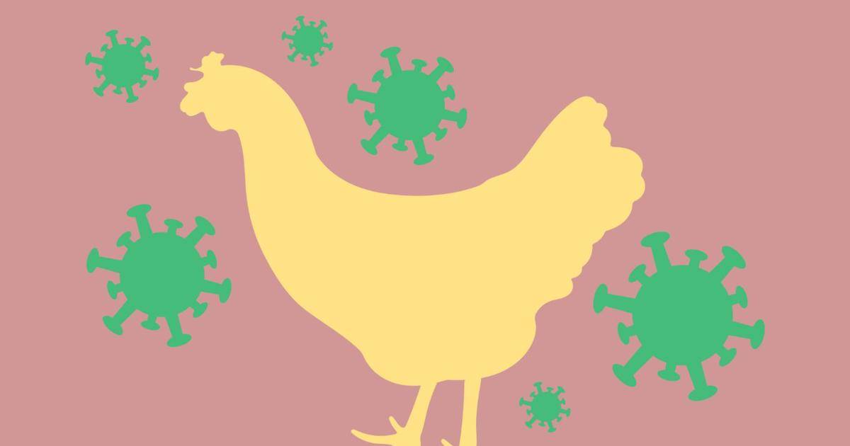 - Regionálna veterinárna a potravinová správa Trnava -