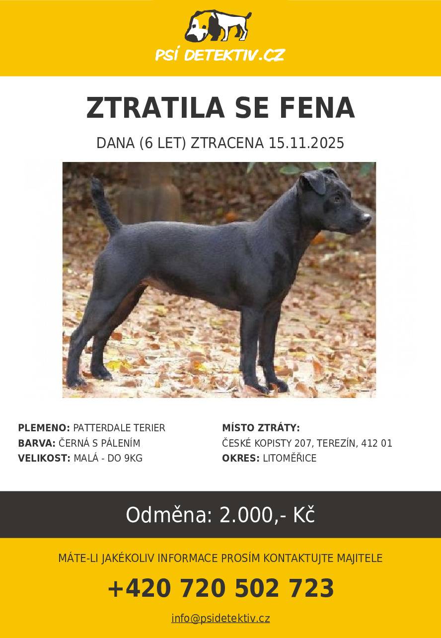V Terezíně, části České Kopisty se 15.11. ztratila 6 let stará fenka Patterdale teriera jménem Dáša!!!  Kdybyste měli nějaké informace, volejte prosím na 720 502 723, případně napište na email bukovskyze@seznam.cz Dana je 6 let stará fenka. Obojek nemá, je čipovaná i tetovaná a váží cca 8 kg. Má kupírovaný ocásek. Zaběhla se během naháňky a už se nevrátila. Ztratila se u soutoku Labe a Ohře, bude se nejspíš pohybovat těchto místech a okolí.