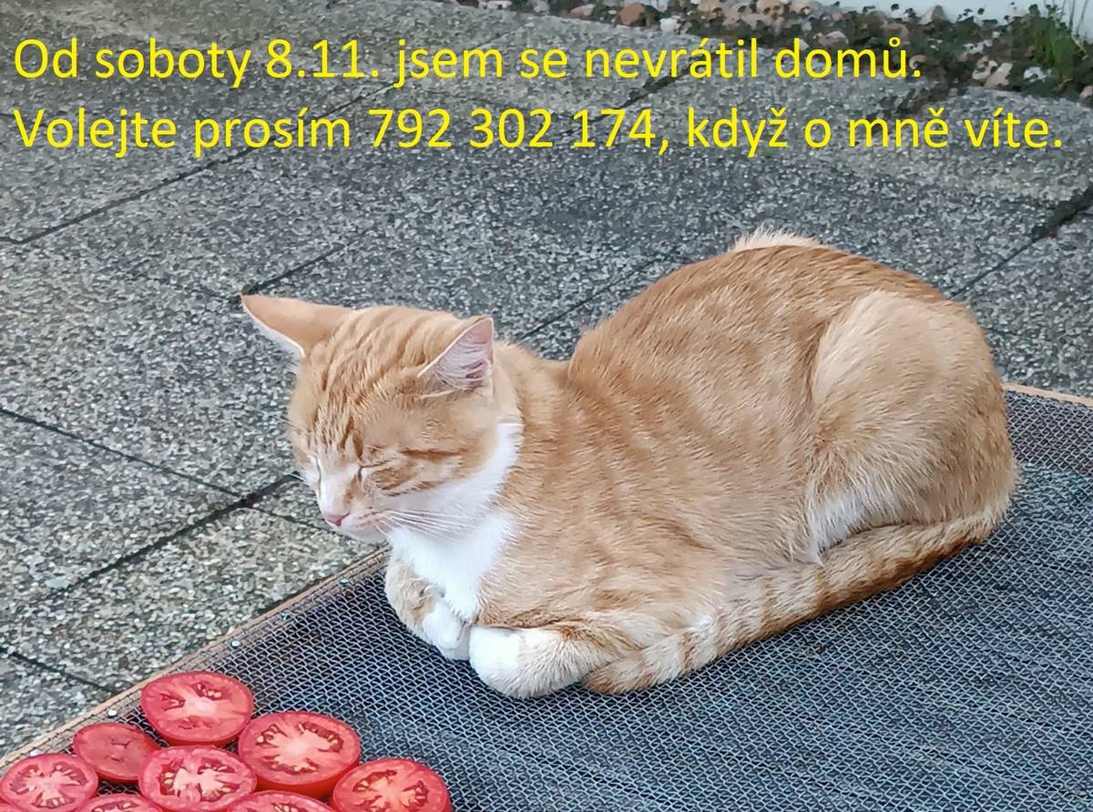 Prosíme o pomoc při hledání ztraceného kocoura v Hnanicích. Děkujeme.