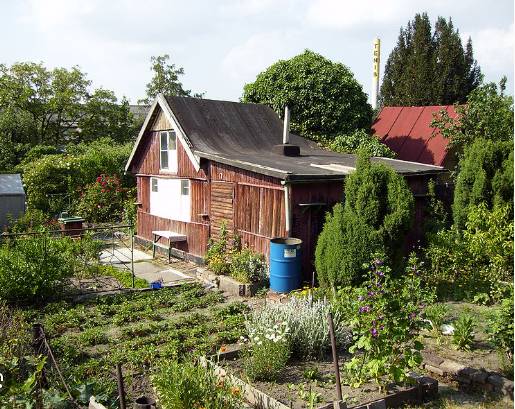 Český zahrádkářský svaz zve své členy na členskou schůzi, která se koná ve čtvrtek 20.listopadu 2025 od 18:00 hodin v restauraci u Čuříků.