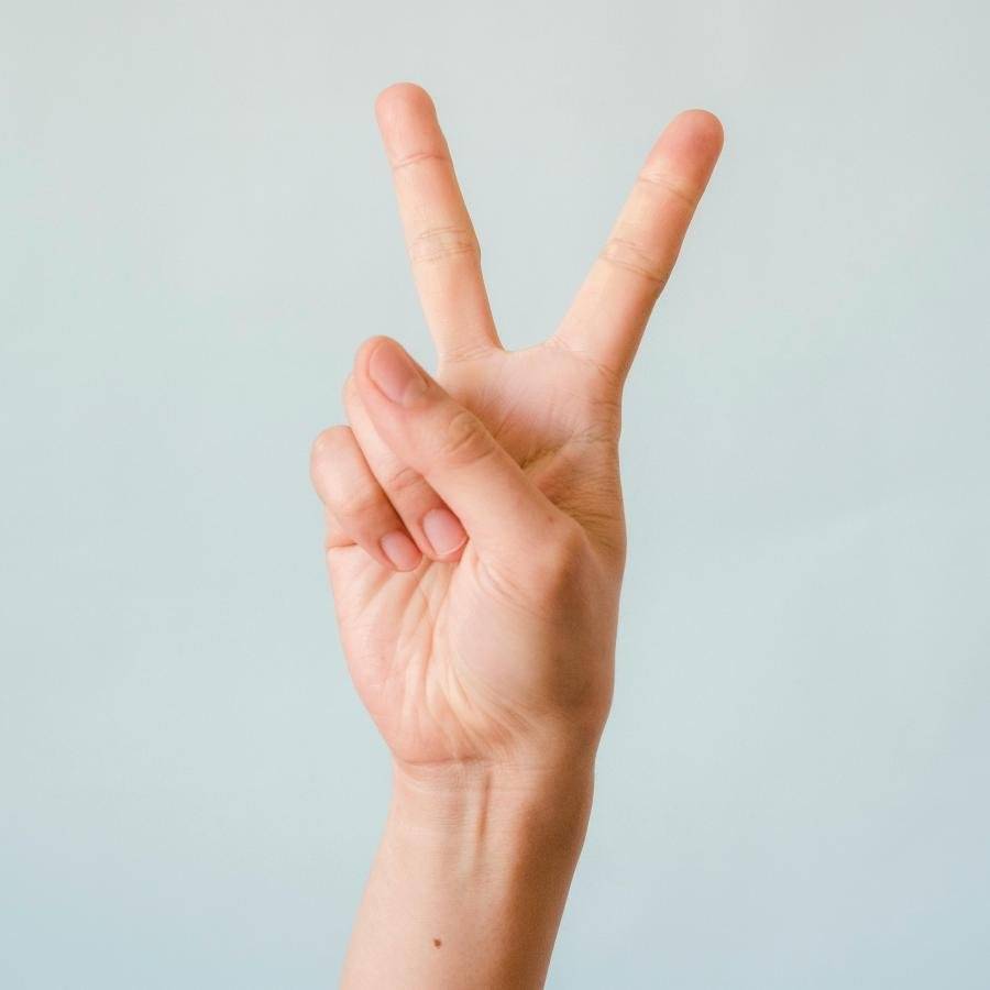 Rok 1989 proběhl v celém východním bloku ve znamení pádů totalitních režimů. Události, které v Československu po 17. listopadu nabraly rychlý spád, vešly do dějin jako sametová revoluce. V polovině listopadu roku 1989 došlo nejen v našich dějinách ke zvratu, který znamenal konec studené války, totalitního režimu a pád Sovětského svazu. Evropa, která byla rozdělená železnou oponou, začala psát zcela novou epizodu svých dějin. Východní blok přestal existovat. Sled událostí, které začaly zdánlivě poklidnou studentskou demonstrací, ukončil vládu komunistickému režimu. Samotný svátek, Den boje za svobodu a demokracii a Mezinárodní den studentstva, je symbolem naděje a budoucnosti!