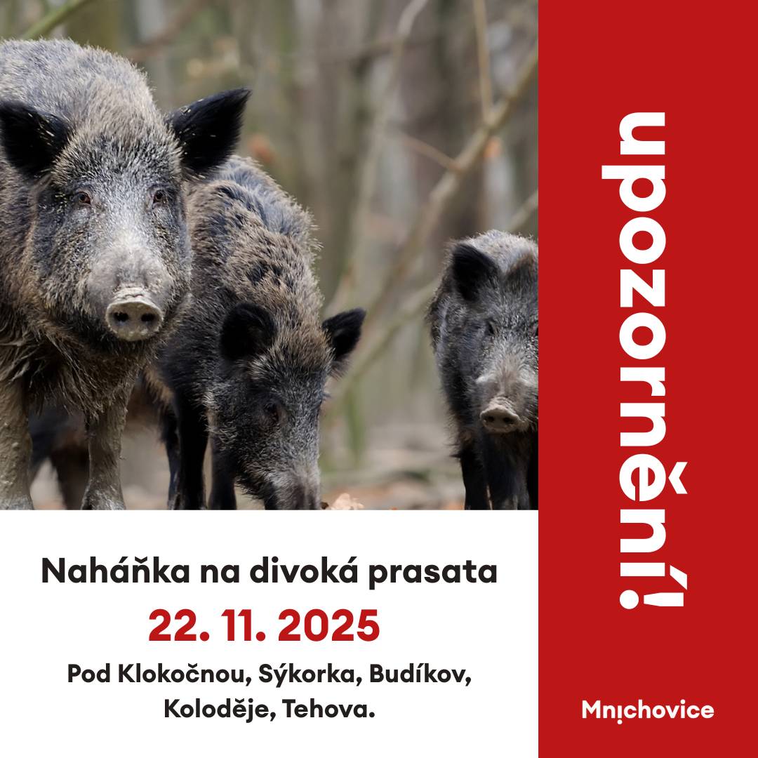 Myslivecký spolek Mnichovice informuje: V SOBOTU 22.11. OD 9 DO 15 HODIN se koná naháňka na divoká prasata. Leče zasáhnou oblasti: Pod Klokočnou, Sýkorka, Budíkov, Koloděje, Tehova. Prosíme nevstupujte, omezte i vycházky se psy v předcházejících dnech, aby nedošlo k vytlačení černé zvěře z oblasti. Děkujeme.