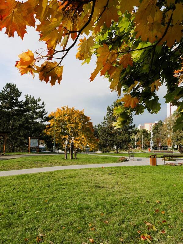 Sluneční paprsky slábnou, podzim tiše přichází.