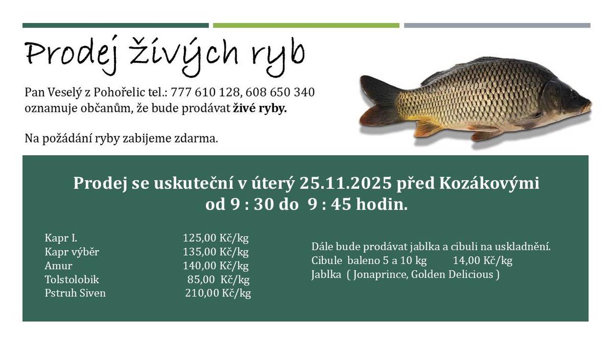 Pan Veselý z Pohořelic tel.: 777 610 128, 608 650 340 oznamuje občanům, že bude prodávat živé ryby. Prodej se uskuteční v úterý 25.11.2025 před Kozákovými od 9 : 30 do  9 : 45 hodin.  Kapr I. - 125,00 Kč/kg, Kapr výběr - 135,00 Kč/kg, Amur - 140,00 Kč/kg, Tolstolobik - 85,00 Kč/kg, Pstruh Siven - 210,00 Kč/kg Na požádání ryby zabije zdarma. Dále bude prodávat jablka a cibuli na uskladnění