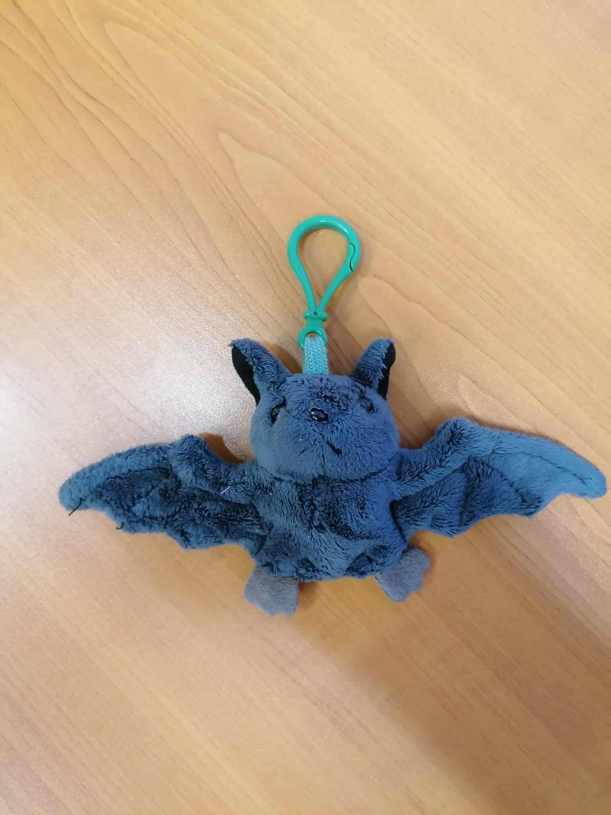 V autobuse z Olešnice se našel malý plyšový netopýr. Je momentálně v úschově na obecním úřadě v Trpíně, komu patří, může si ho zde vyzvednout.