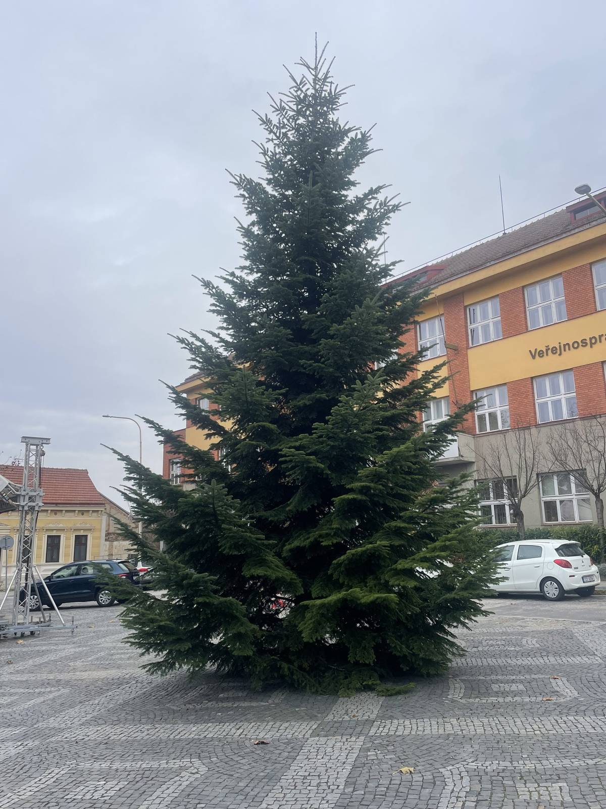 Letos nám ho s velkou ochotou darovala rodina Hejdova z ulice Újezd – moc děkujeme! ❤️  Také děkujeme Odboru technických služeb za zajištění stromečku🎄 Zatím ještě není nazdobený, ale už se na něj můžete přijít podívat. ✨ Slavnostní rozsvícení proběhne 30. 11. v 17:30 hodin✨ Těšíme se na vás!