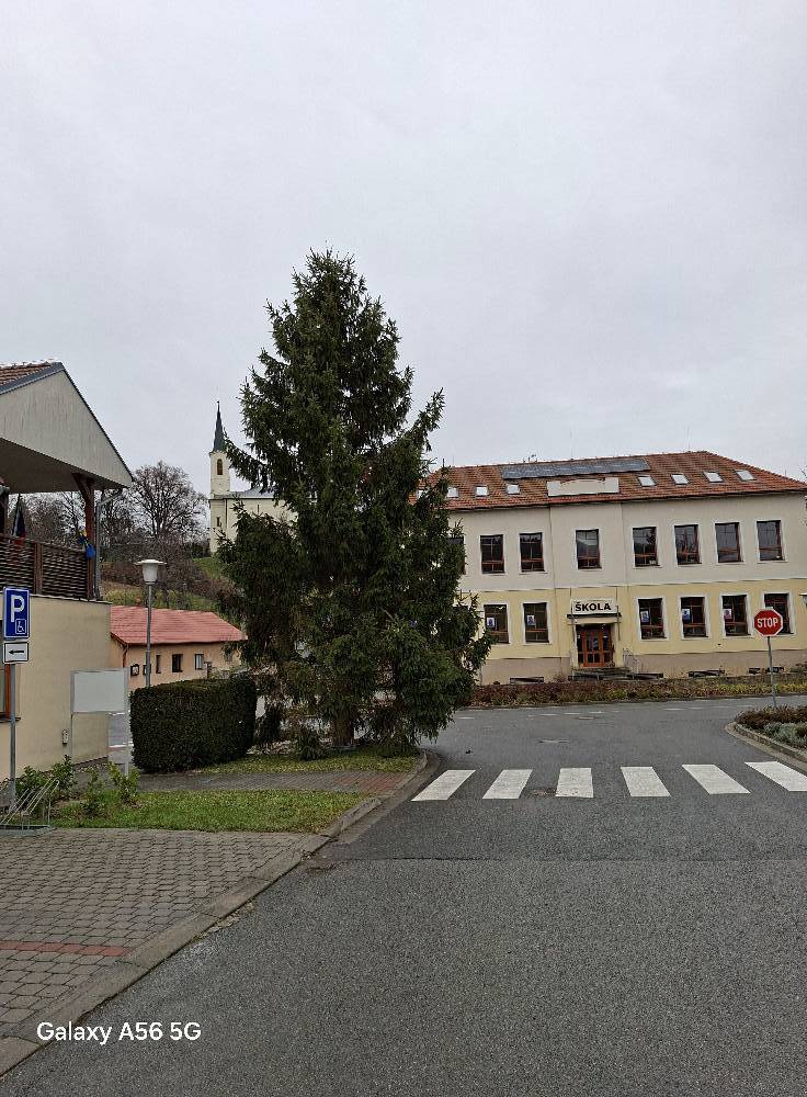 Vánoční strom už máme i v Pitíně, letos od Marušky Švajdové Kozelkové z Bohuslavic, takže vlastně z Pitína. Drobně k tomu snéžilo , takže atmosféra byla výborná a velké poděkování jako každý rok SDH Pitín za zřezání a postavení stromu spolu s Kloboucká lesní.