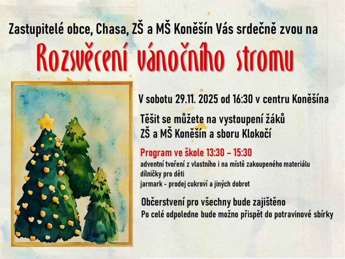 Rozsvěcení vánočního stromu