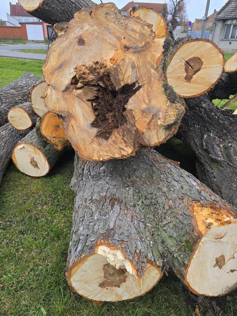 Vážení občané,  rád bych se na vás obrátil s vysvětlením k nedávnému kácení vzrostlých stromů na našem náměstí. Vím, že pro mnohé z vás byly tyto stromy srdeční záležitostí a jejich odstranění vyvolalo otázky i obavy. Proto považuji za férové říct vše naplno a transparentně.