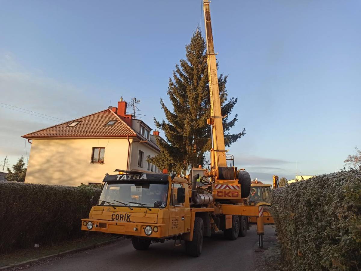 Včera jsme do centra obce přivezli vánoční strom, který brzy ozdobí naši náves a přinese tu pravou sváteční atmosféru. Rozsvícení proběhne spolu se slavnostním rozsvícením vánočního stromu v zahradě základní školy ve středu 26. listopadu.