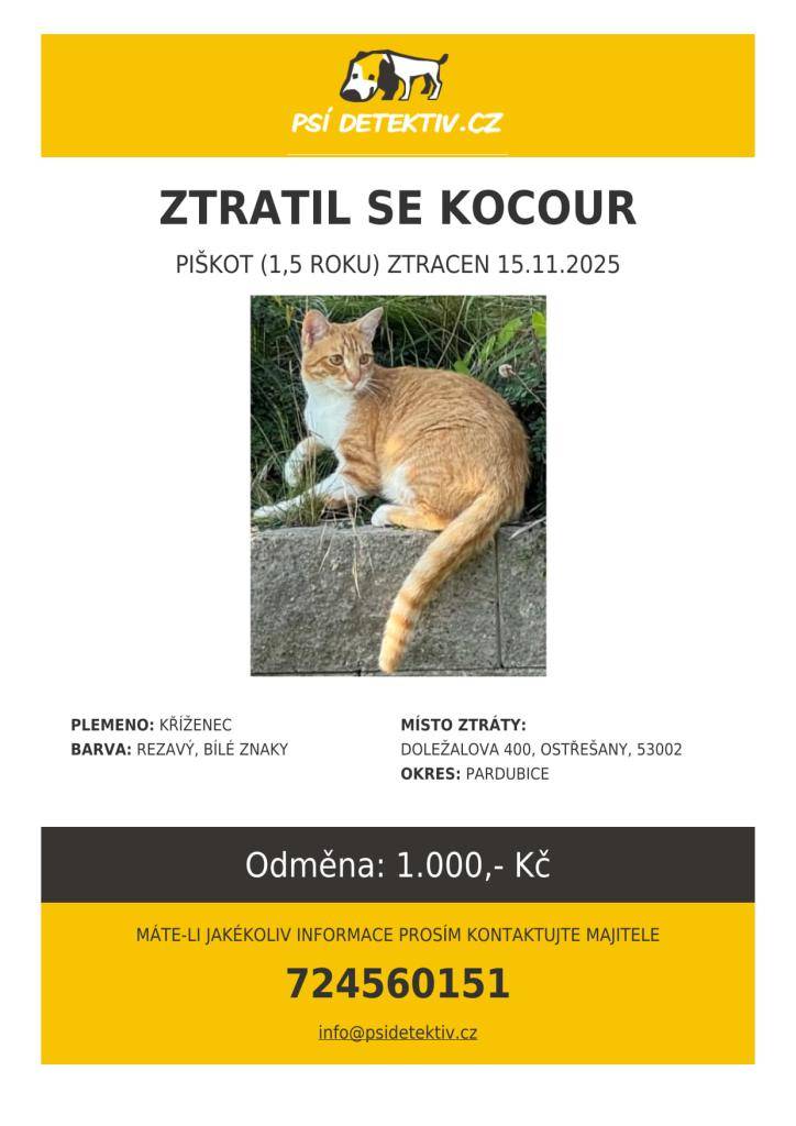 Vážení spoluobčané,  15. 11.  se v Ostřešanech ztratil rezavo-bílý kocour Piškot. Máte-li jakékoliv informace prosím kontaktujte majitele na tel. čísle 724 560 151. Odměna: 1 000 Kč.