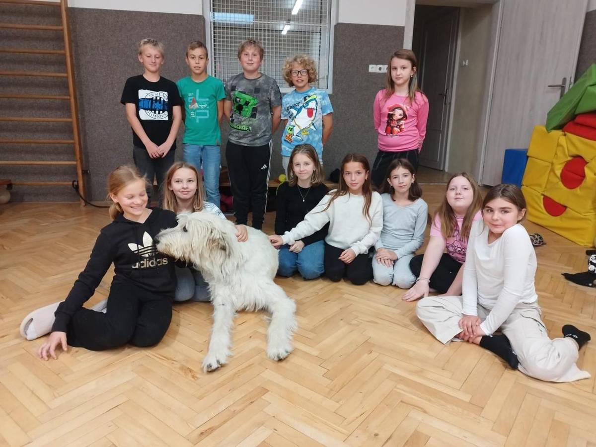 V pátek 3. října jsme ve škole oslavili Den zvířat opravdu netradičně -  navštívil nás totiž irský vlkodav, který vážil 70 kg.