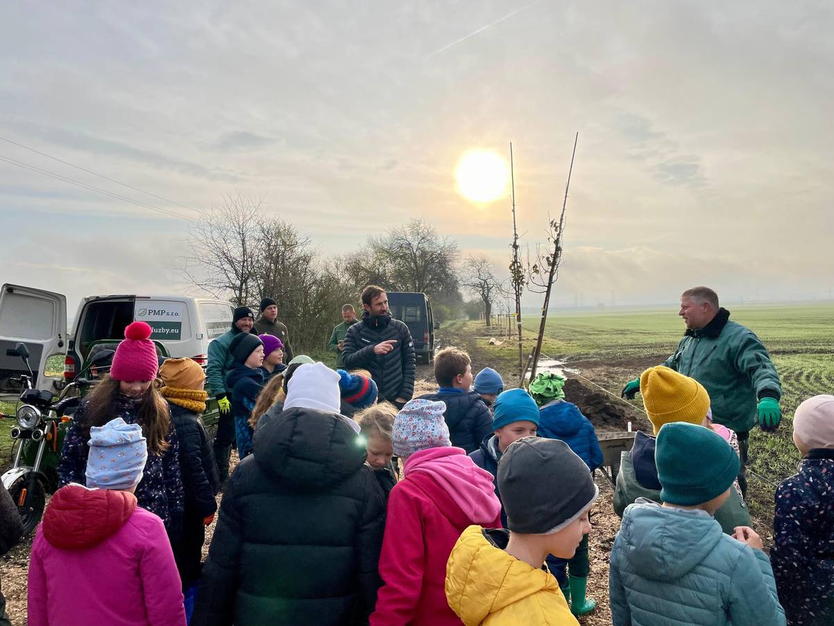 V naší obci přibylo 30 nových hrušní. Obec Měšice je vysadila minulý týden v rámci obnovy původní historické hrušňové aleje od zámeckého parku do Veleně. Na realizaci výsadby se letos podílely děti ze čtyř měšických mateřských škol a žáci místních třetích tříd líbeznické školy. Společně s našimi zahradníky se s chutí pustili do práce a zvládli ji skvěle – a to i přes občasnou nepřízeň počasí. Děkujeme všem zúčastněným dětem, jejich trpělivým paní učitelkám i našim šikovným zahradníkům za pomoc a nadšení. Zároveň si velmi vážíme finanční podpory Nadace ČEZ, díky níž se mohla celá akce uskutečnit. Postupná obnova aleje bude pokračovat i v dalších letech. Podívejte se na krátké video, jak celá výsadba probíhala. https://youtu.be/sDH8HZFUeHM?si=9uFO3f5_vIzFvC2h