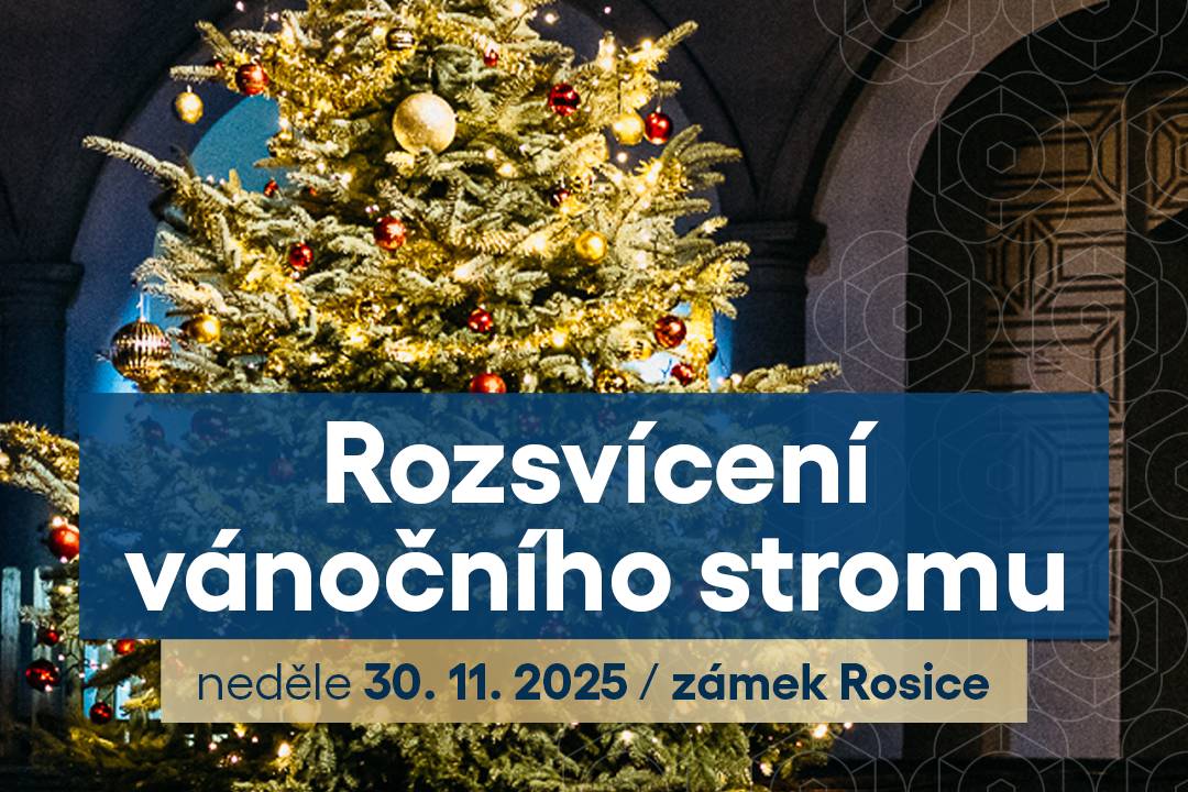 Tak je to opět tady. Po roce zase s hrníčkem pod rosickým vánočním stromem.