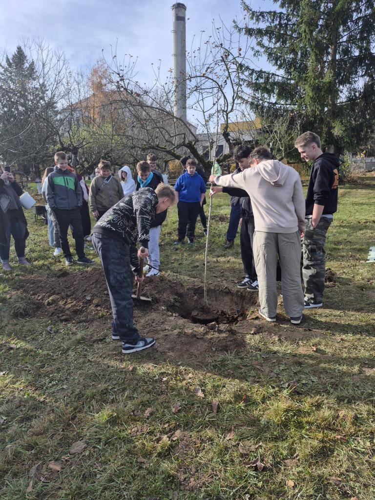 Základní škola Bavorov a město Bavorov se připojili k připomenutí 100. výročí úmrtí spisovatele Jindřicha Šimona Baara a vysazením jednoho kusu tradiční české odrůdy hrušně - Solanky. Vysazení se ujali žáci Základní školy Bavorov.