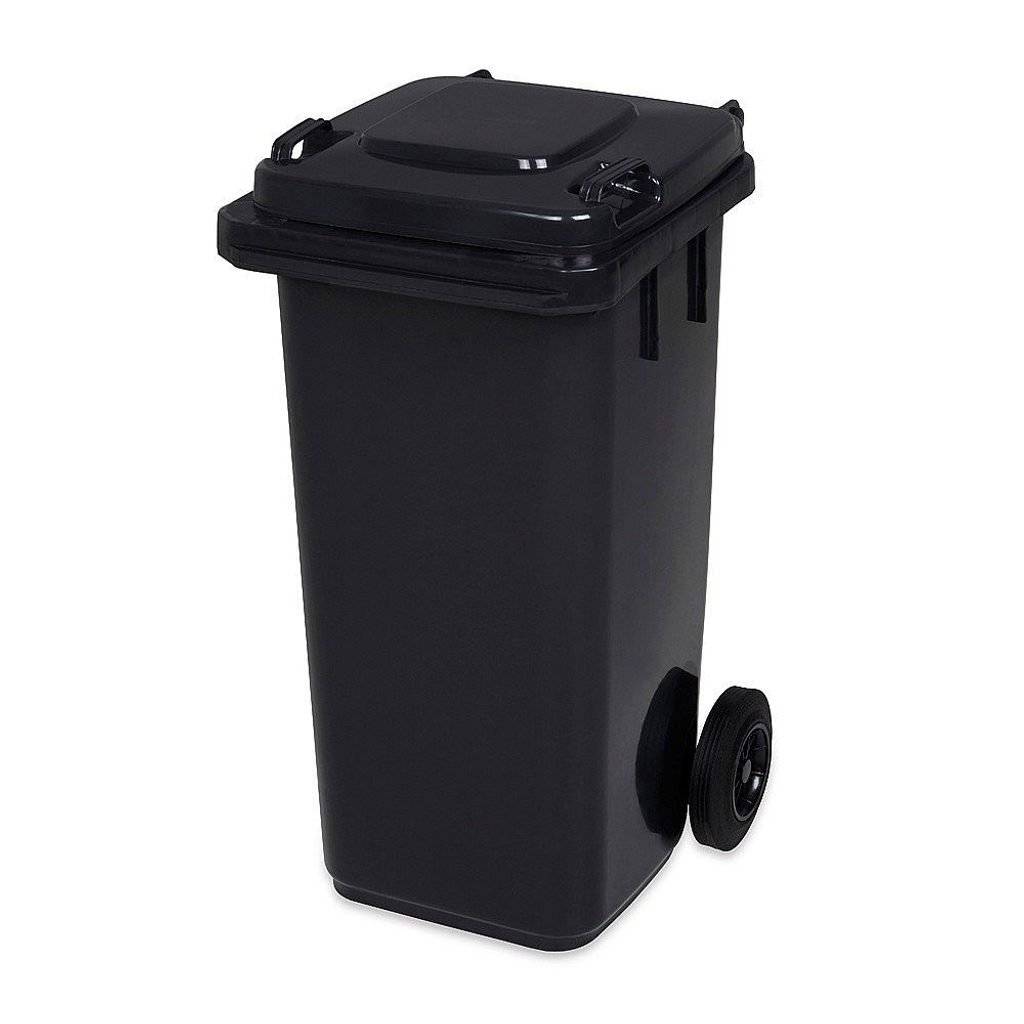 Žádáme občany, kteří bydlí na hůře dostupných místech:  kopec ke škole, Peklo, ulice za kapličkou, Chaloupky, Syslov  aby při předpovědi nepříznivého počasí - sníh, ledovka, vždy vyndavali do neděle do 9:00 hod popelnice ven před dům. Pracovník obce je sveze na dostupné místo. Nádoby řádně označte buď jménem, nebo adresou.