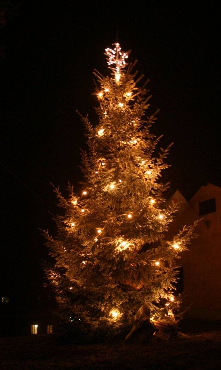 Osada Slavný Vás srdečně zve na tradiční rozsvícení vánočního stromu, které se uskuteční dne 29. listopadu 2025 v 18:00 hod u místní autobusové zastávky.