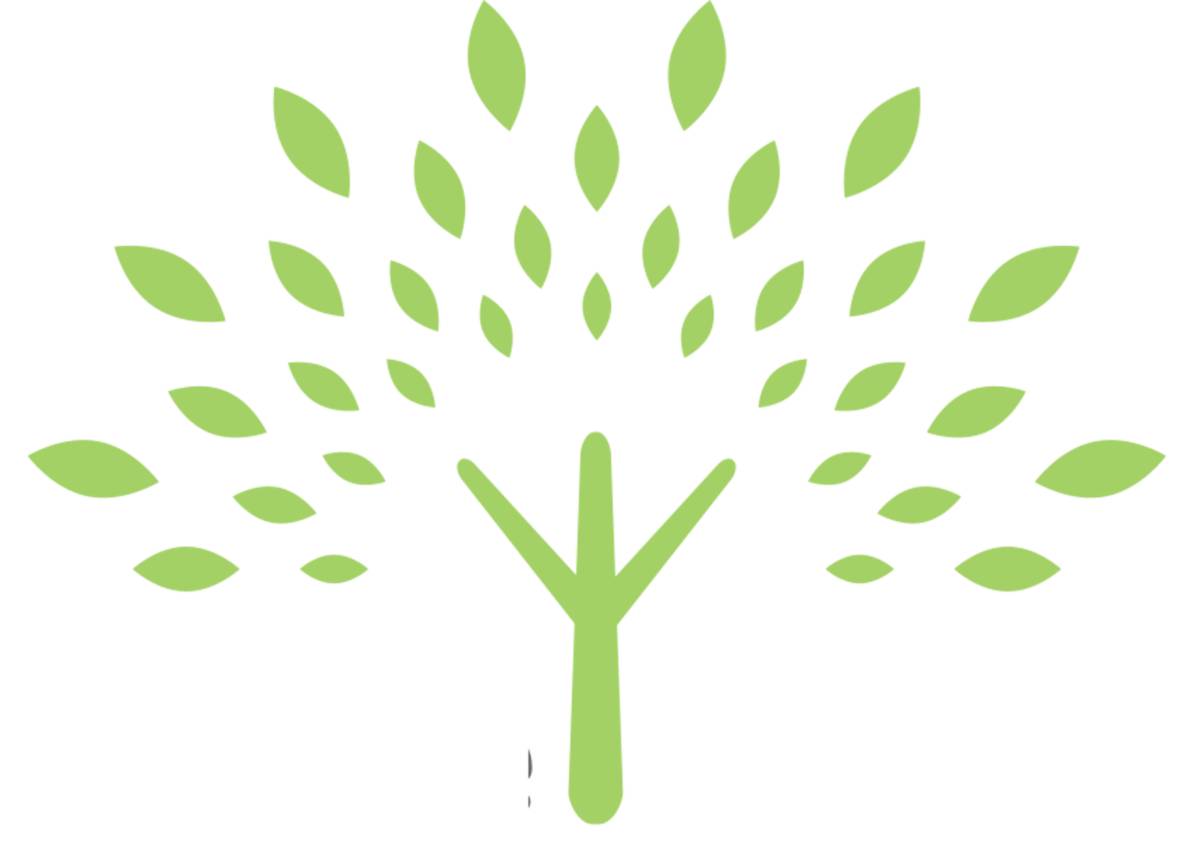 Dne 14.11.2025 se obec účastnila v rámci iniciativy organizace "sázíme stromy" výsadby stromů a keřů podél silnice č. 24023 z Kamenného Mostu na Ješín.