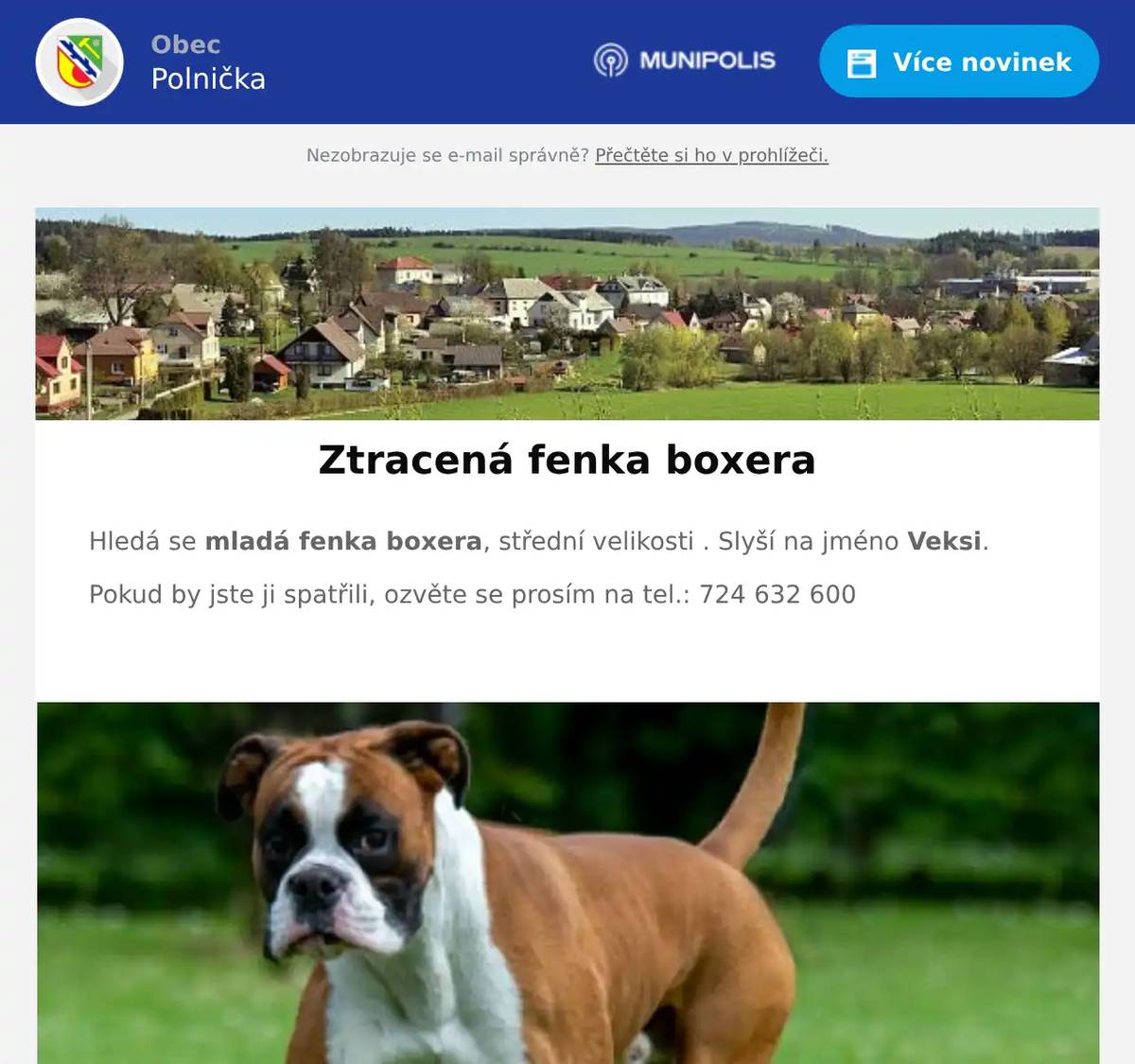 Hledá se mladá fenka boxera, střední velikosti . Slyší na jméno Veksi. Pokud by jste ji spatřili, ozvěte se prosím na tel.: 724 632 600 