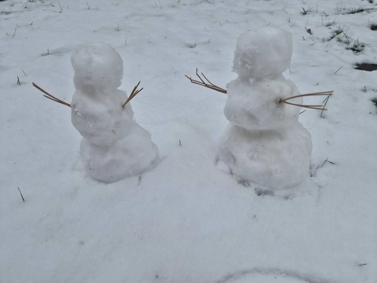 Malí sněhuláci jako hosté na našem oddělení     Zima o sobě konečně dala vědět a venku se objevil první sníh. Abychom si tuto chvíli užili i v našem zařízení, vytvořili jsme dva malé sněhuláčky a přenesli je přímo na oddělení. Sníh se tak stal příjemným prvkem naší smyslové terapie.