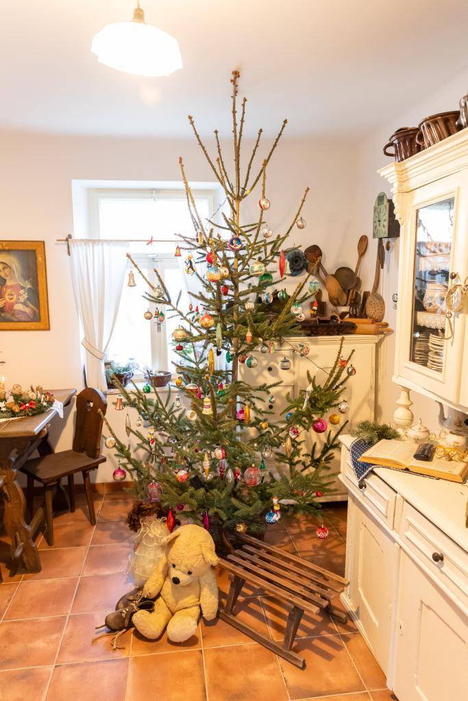 Srdečně zveme v sobotu a neděli 29. a 30.11.2025 od 8.00 do 17.00 hod. do Hasoňovy chalupy na adventní prodejní výstavu. Zároveň bude zahájena výstava "Retro Vánoce na chalupě", kde můžete zhlédnout vánoční stromky nazdobené v různých stylech a historické vánoční ozdoby.