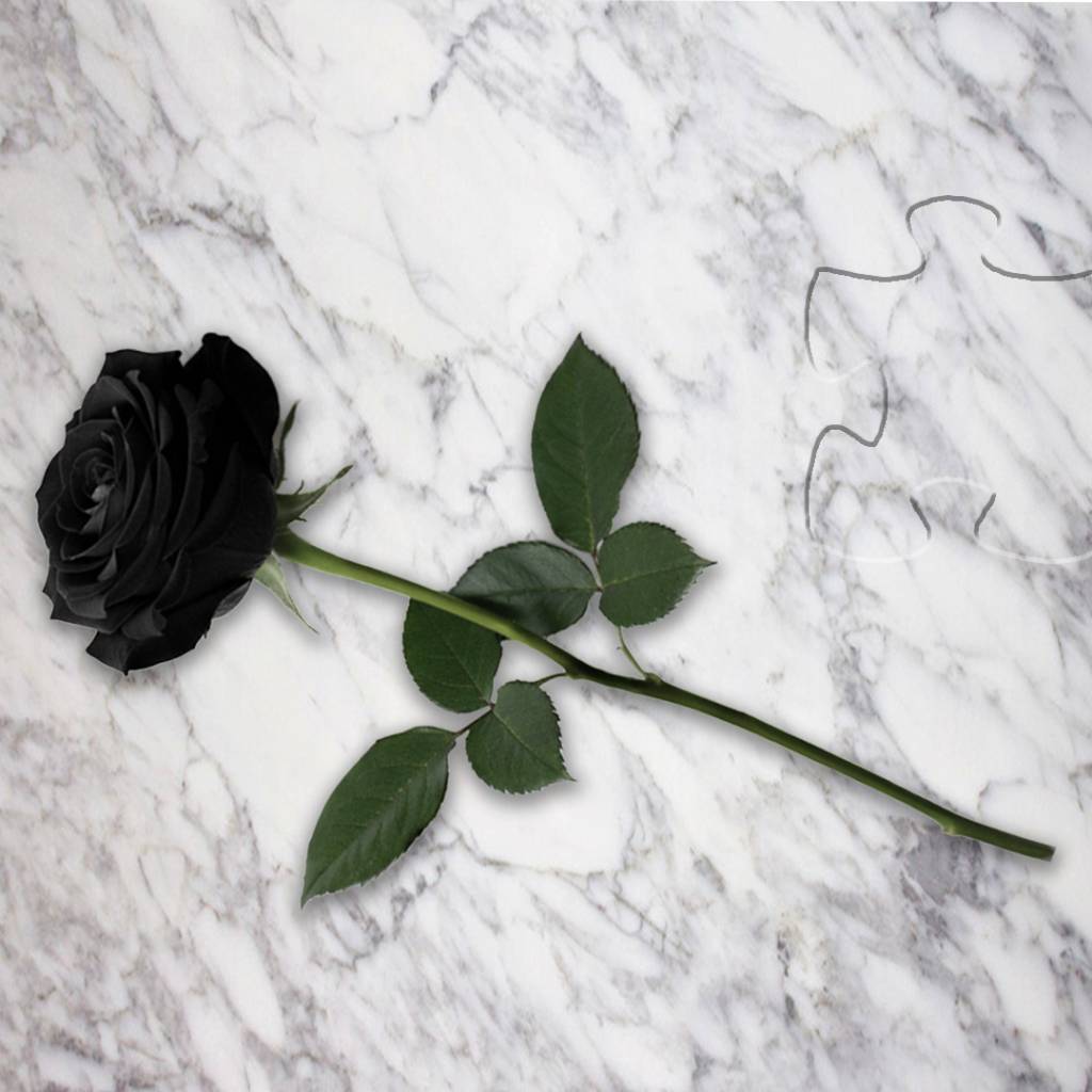 S hlbokým zármutkom oznamujeme, že 22.11.2025 nás opustila vo veku 67 rokov  Viera Csánová  Posledná rozlúčka bude 25.11.2025 o 14:00 hod. so svätou omšou v rímskokatolíckom kostole a pohrebným obradom po svätej omši na cintoríne v Kráľovej pri Senci.