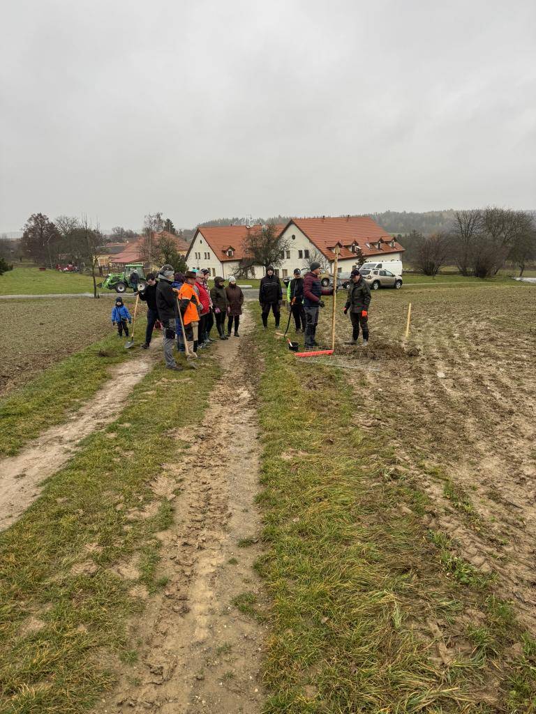 Nová Božská třešňová alej