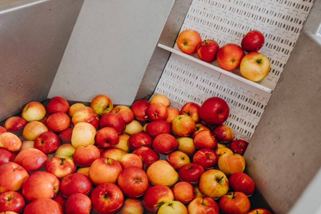 ..nabízí předvánoční prodej jablek. Od středy 26. 11. 2025 je možné vybírat z odrůd Gala, Golden Delicius, Jona Prince a Idared. Prodej bude zahájen v 10 hodin. Cena je 23 Kč za kilogram.