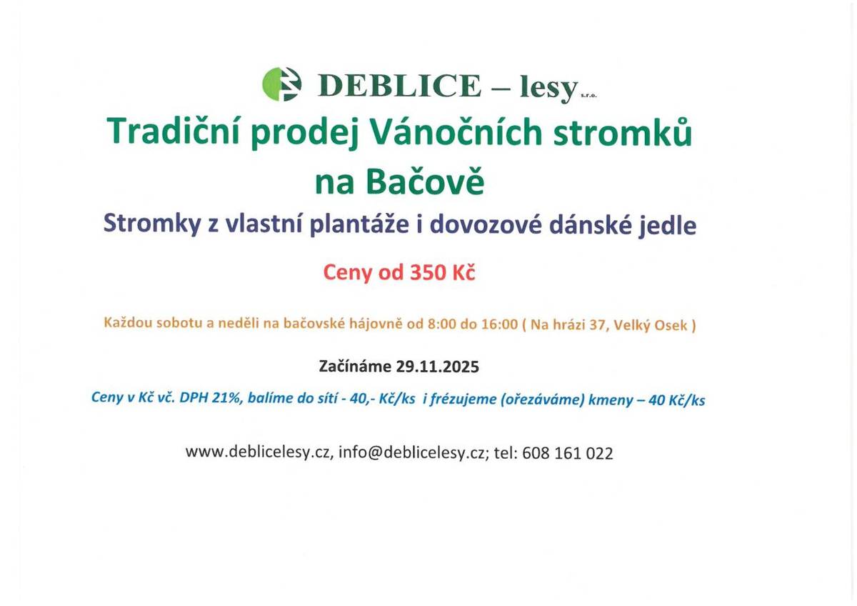 Vánoční prodej stromků na Bačově začíná v sobotu 29. listopadu 2025.