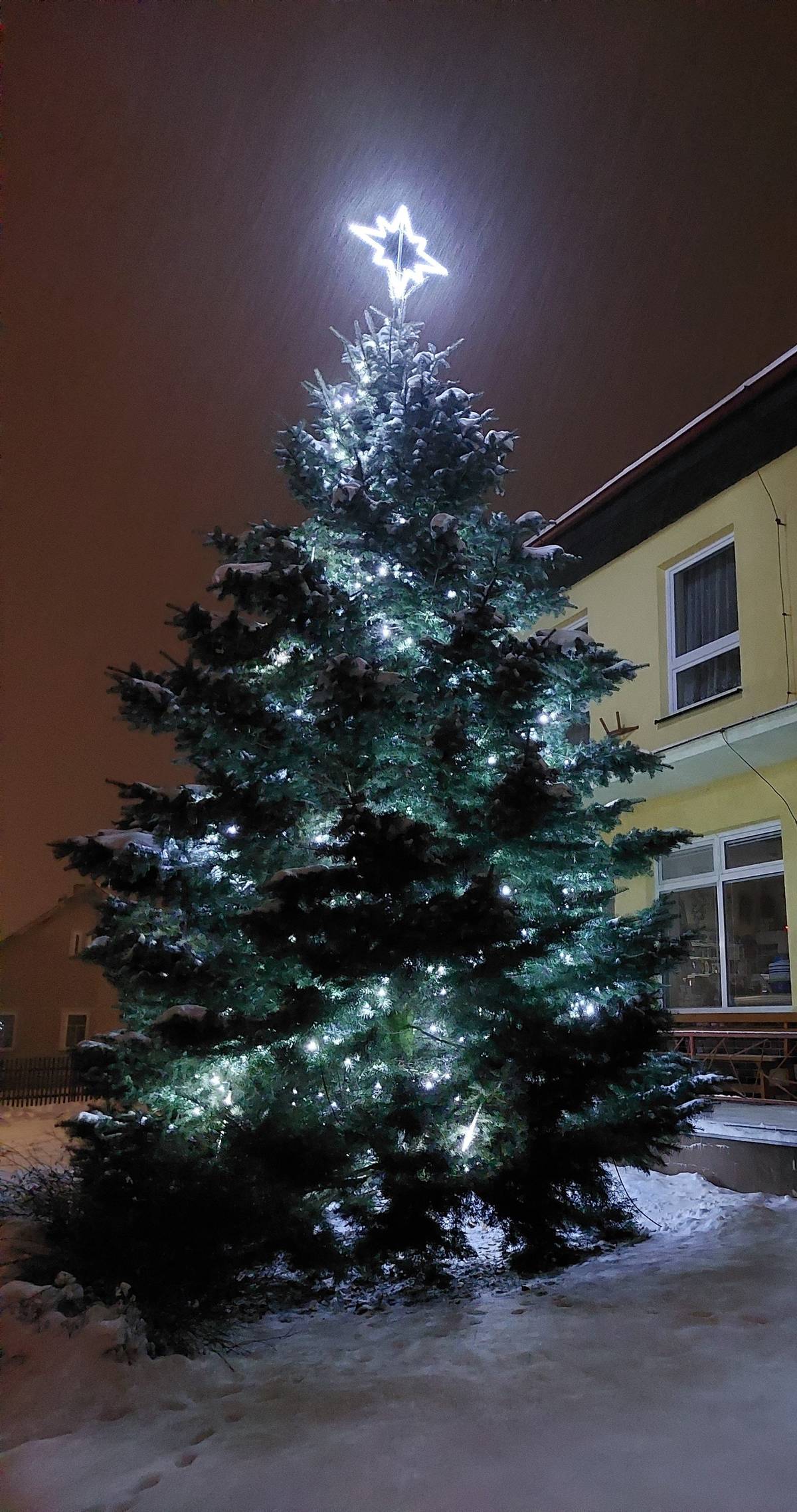 v neděli 30.11.2025 od 17 hod. se opět rozsvítí náš vánoční strom za doprovodu koled. Těšit se můžete na horké nápoje a cukroví. Všichni jste srdečně zváni.