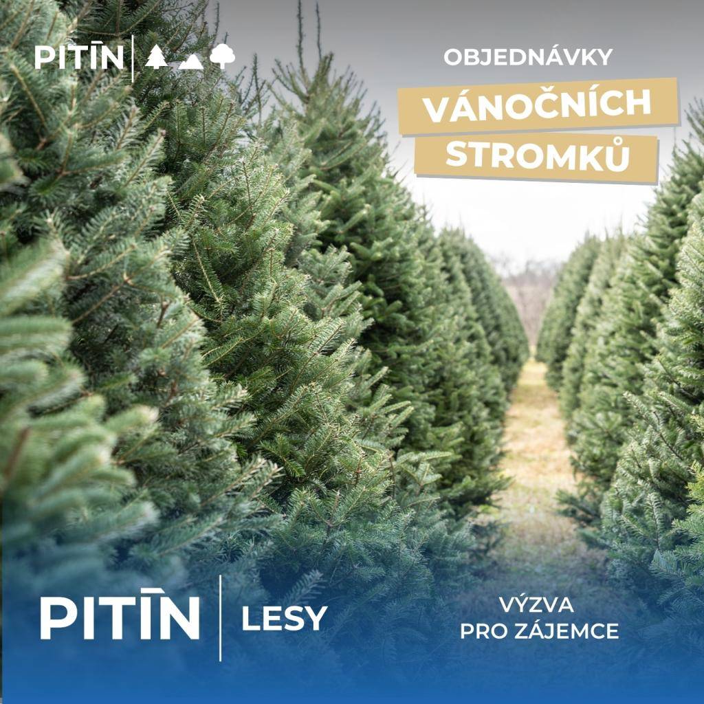Společnost Lesy Pitín nabízí občanům obce možnost zakoupení vánočního stromku – smrku z obecních  lesů.  Objednávejte na tel. 605 554 155 nejpozději do 15.12.2025  Pozor - počet vánočních stromků je limitován, po naplnění vyhraženého počtu bude objednávání ukončen. Prodej bude probíhat 19.12.20