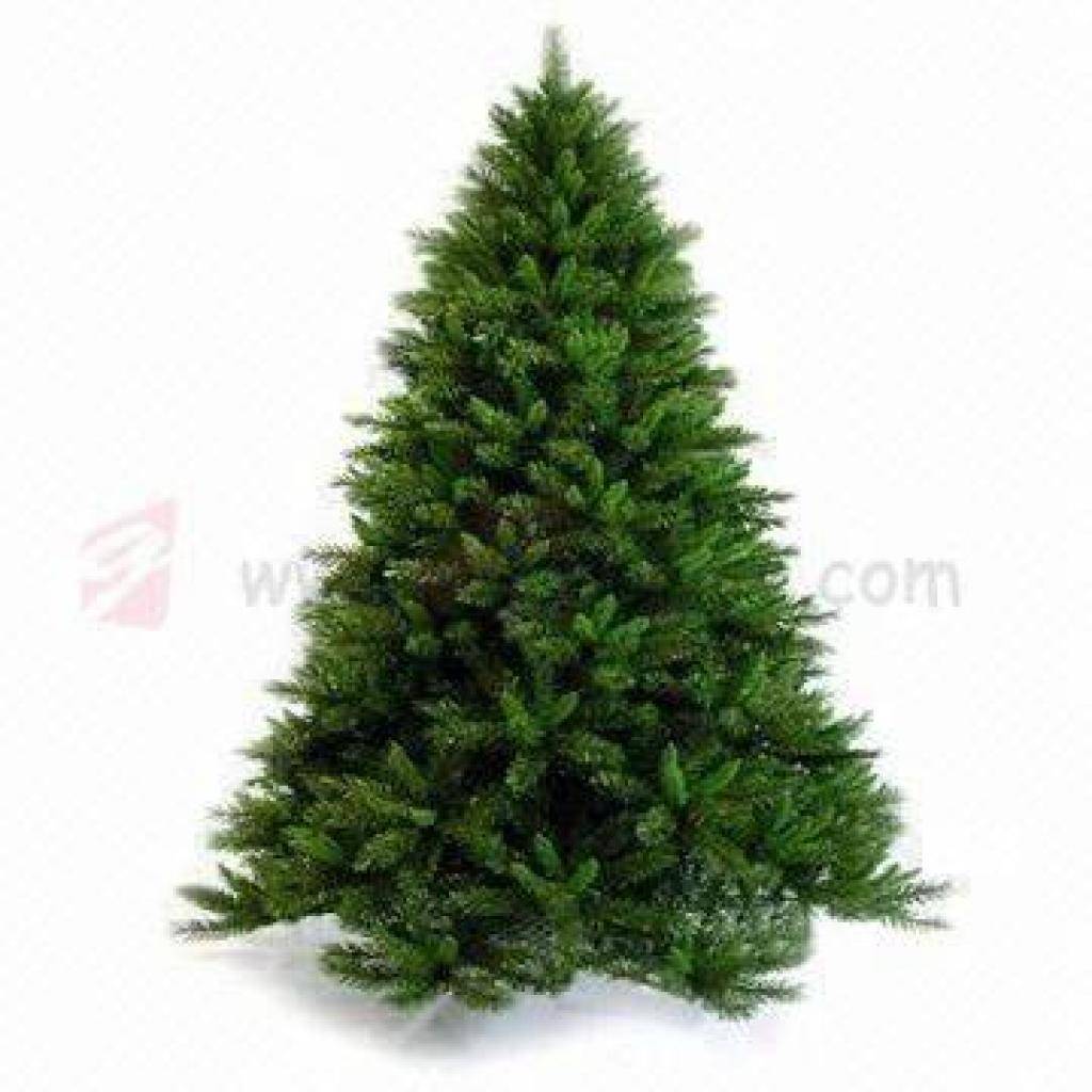 Předadventní prodej vánočních stromků na plantáži již 29. a 30.11 do 15 hod.  Tradiční prodej z plantáže od 6.12. So-Ne 9-16 hod.  Po - Pá  14-16 hod.  Prodej ze dvora, na ul.Opavská 56 od 6.-12.