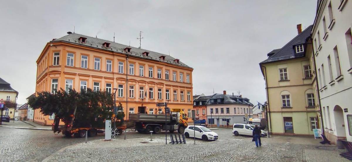 Letos zdobí Šternberk opravdu výjimečný vánoční strom. Městu jej darovali manželé Zbraňkovi z Bohuňovic, kteří jej před téměř třiceti lety zasadili u svého domu. Kanadská jedle po celá léta rostla spolu s jejich rodinou, poskytovala příjemný stín a stala se součástí jejich domova.