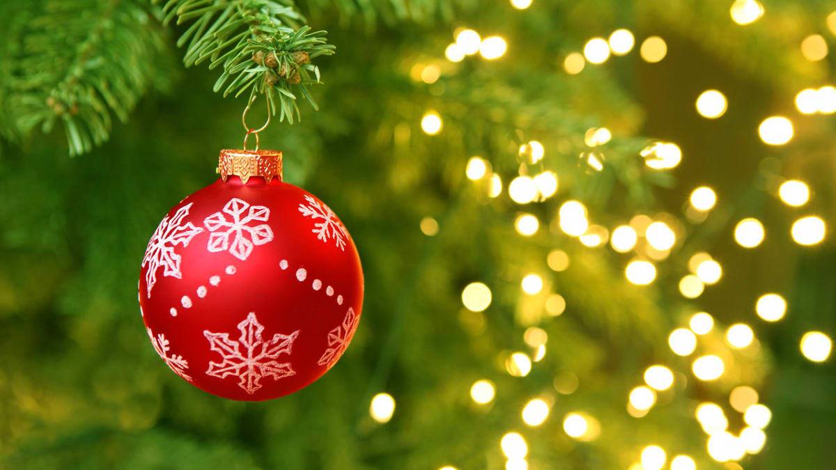 Děti ze ZŠ Němčany zvou všechny seniory na Zpívání vánočních koled se zdobením perníčků. Přijďte si posedět u cukroví a zavzpomínat na školní léta.  Akce se koná ve středu 17.12. v ZŠ Němčany.