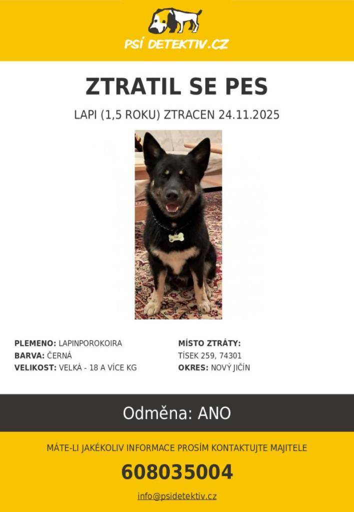 Lapi je 1,5 roku starý pes. Na krku má řetízkový obojek se známkou ve tvaru kosti se jménem Lapi a kontaktním telefonem a je čipovaný. Není kastrovaný, ale má jen jedno varle a váží cca 20 kg. Ztratil se večer 24.11.25 na procházce v polích mezi Tískem a Bílovcem.