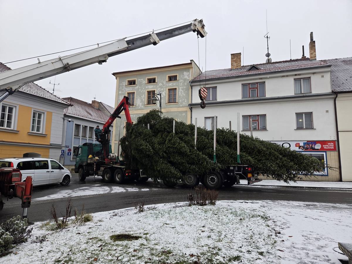 Město Kaplice přináší krátký záznam z kácení a instalace letošního vánočního stromu, který městu věnoval pan Ing. Mach. Kaplické technické služby zajistily veškeré práce spojené s jeho odborným pokácením, přepravou i usazením na náměstí. Celý proces proběhl hladce a díky čerstvě napadlému sněhu měl i příjemnou předvánoční atmosféru. Jak vše probíhalo, se můžete podívat v přiloženém videu ZDE.