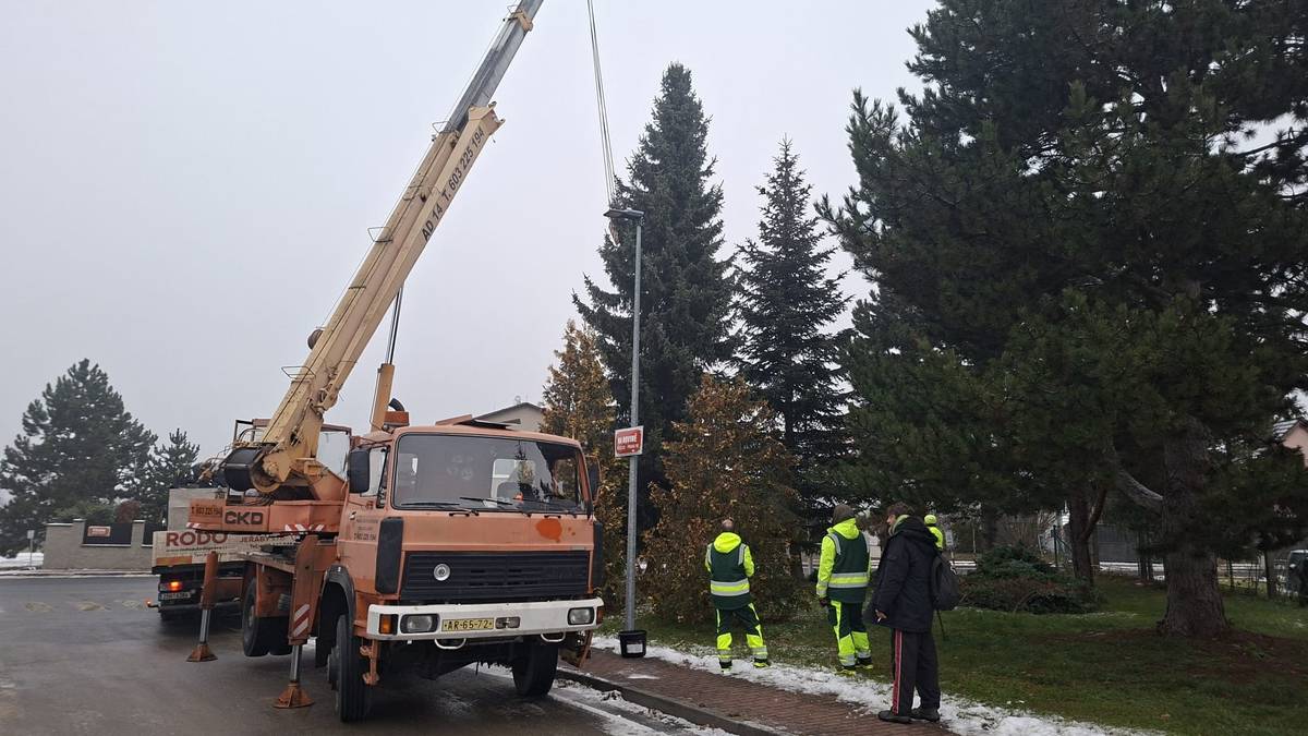 Kateřinské náměstí bude letos zdobit vánoční strom, který byl darován městskou částí Praha–Křeslice. Děkujeme za výbornou pomoc zaměstnancům technických služeb, kteří společně se starostou strom připravili a osadili na náměstí. Jako každý rok nám významně pomohl s jeřábem pan Josef Dolejš a jeho kolega z přepravní společnosti. V Újezdě bude opět vánočně ozdoben rostlý smrk v ulici Ke Mlýnu.