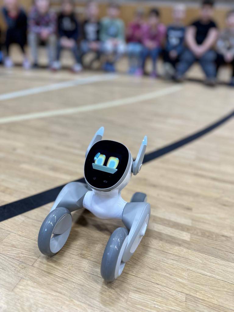 Ve dnech 24.-25.11. proběhly na naší škole projektové dny s roboty.