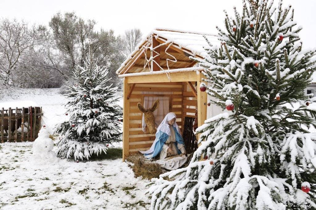 29.11. - 30.11.2025 VE SKANZENU STRÁŽNICE  Představení obvyklých prací, zvyků, příprava tradičních jídel a stolování na jihomoravské vesnici v minulém století. Uvidíte obchůzky Lucek, tří králů, pastýře s koledníky a Mikuláše s jeho družinou. Společně si zazpíváme známé i méně známe koledy.