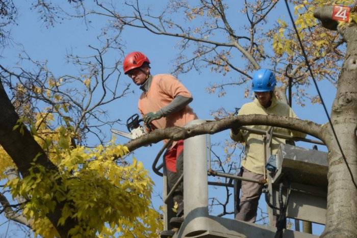 Obec Kriváň upozorňuje majiteľov pozemkov, ktoré susedia s miestnymi komunikáciami, aby si vypiľovali dreviny ktoré zasahujú do miestnych komunikácií ako aj vykášali trávu okolo miestnych komunikácií.