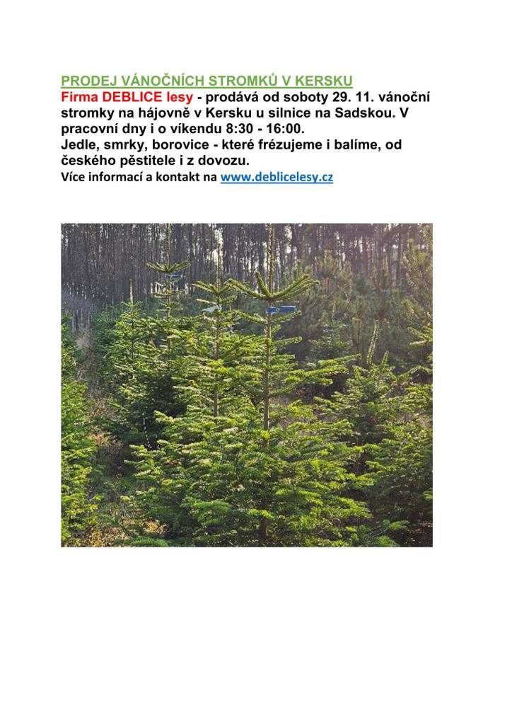 Firma DEBLICE lesy - prodává od soboty 29. 11. vánoční stromky na hájovně v Kersku u silnice na Sadskou.