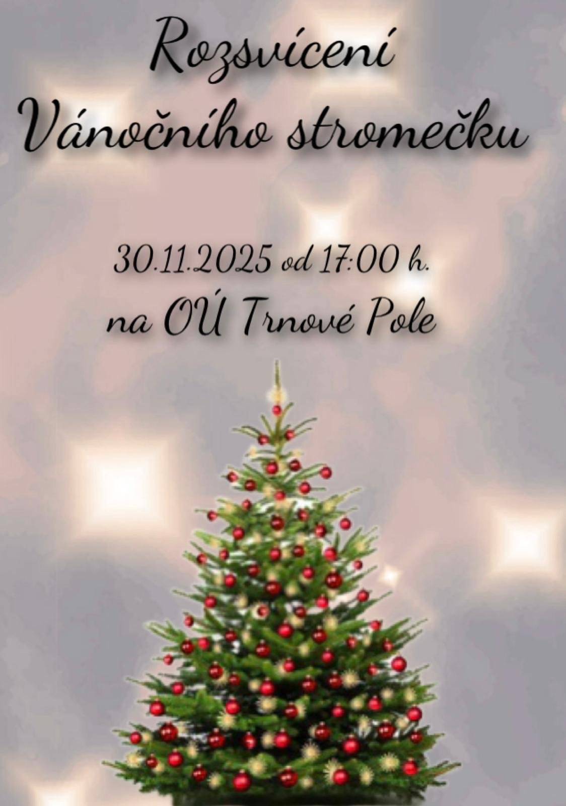 Srdečně zveme všechny občany na rozsvícení vánočního stromečku. Občerstvení zajištěno 🎄