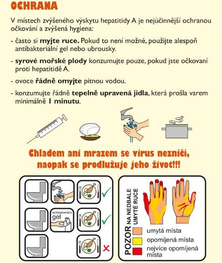 Ne Berounsku je letos evidováno už téměř sto případů žloutenky, což je oproti minulým letům mnohonásobně více.   V posledních letech se vyskytovaly maximálně 3 případy. Není to kritické, ale je na místě být opatrný a mezanedbat preventivní opatření.