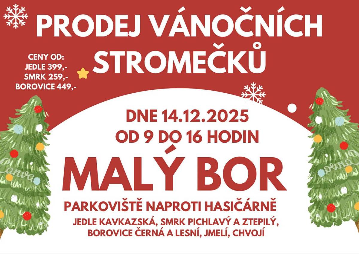 Dne 14. prosince 2025 se od 9 do 16 hodin koná prodej vánočních stromků na parkovišti naproti OÚ v Malém Boru.