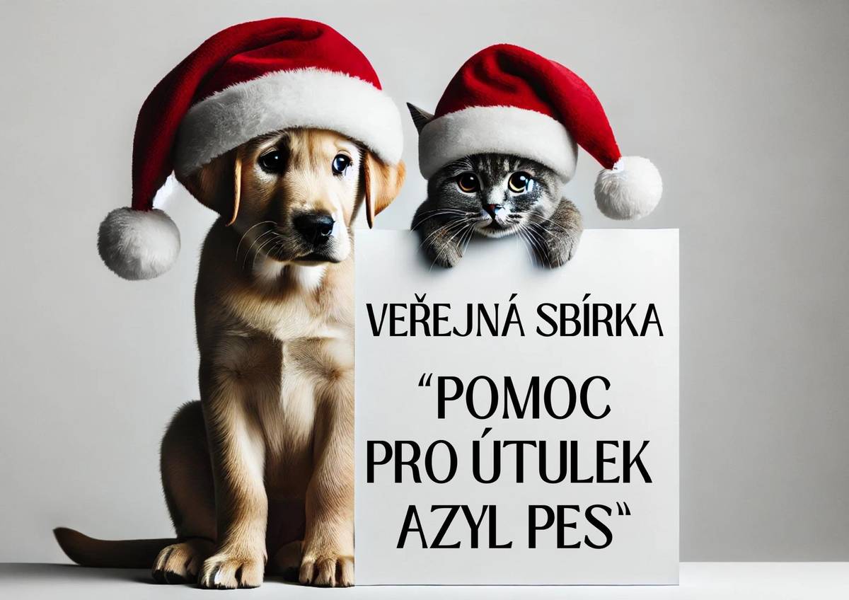 Přijďte si užít kouzelný adventní čas a zároveň podpořit dobrou věc! 🎅❤️ Město Frýdlant vás zve na Rozsvěcení stromečku a další ročník dobročinného svařáku, moštu a jmelí, který proběhne v neděli 30. 11. 2025 na náměstí T. G. Masaryka. 🌟 Proč přijít? ➡️ Zahřejete se svařeným vínem a horkým moštem 🍷🍏 ➡️ Přispějete na podporu čtyřnohých kamarádů z útulku Azyl Pes Krásný Les 🐶🐾 ➡️ Odnesete si krásné jmelí pro štěstí 💚 Loňský ročník ukázal, jak silná je frýdlantská sounáležitost – díky vám se podařilo vybrat více než 30 000 Kč pro útulek Azyl Pes. 🙏💫 Pomohli jste tak pejskům a kočičkám k lepším podmínkám a k dalším krokům v rekonstrukci kotců. ✨ Přijďte si užít vánoční atmosféru, dát si něco dobrého a podpořit zvířata, která to opravdu potřebují. Těšíme se na vás! 🎄🐾