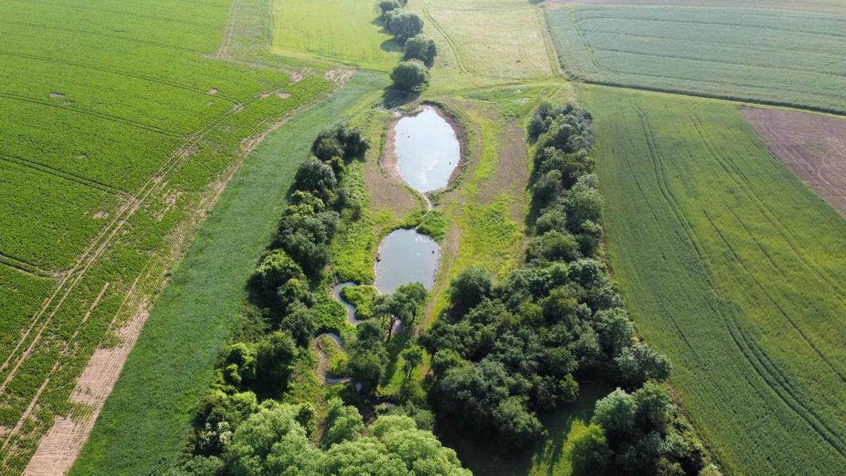 Voda, příroda a nový život v krajině