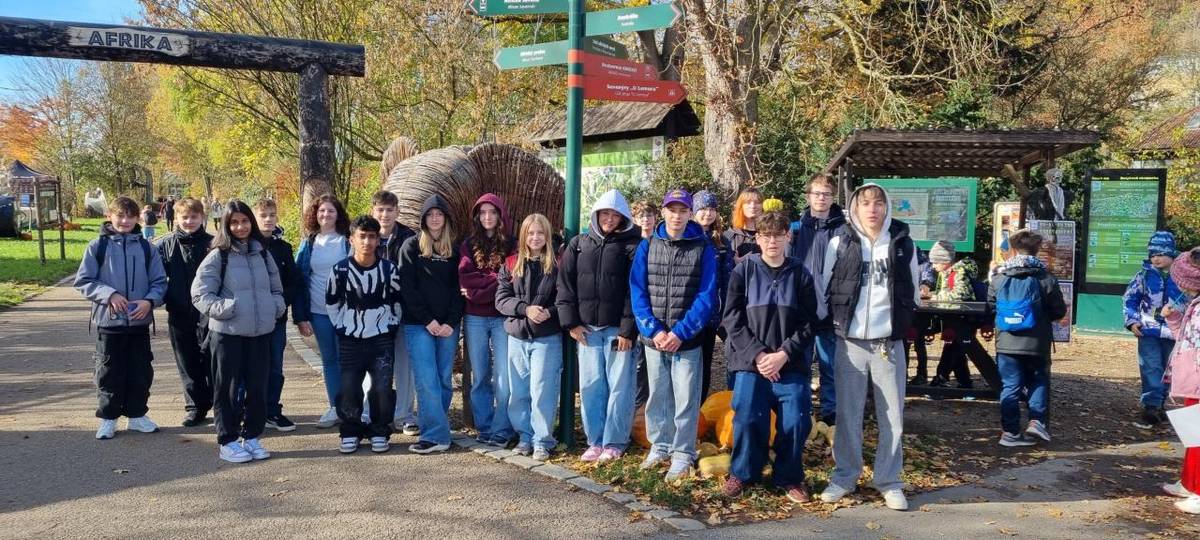 31. října naše třída 8. B vyrazila vlakem do Plzně, abychom navštívili zoo.